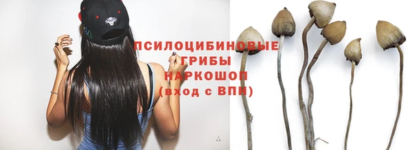 мяу мяу кристалл Лабытнанги