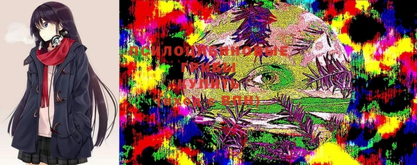 экстази Ладушкин
