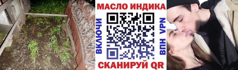 где найти Шатура ТГК Wax