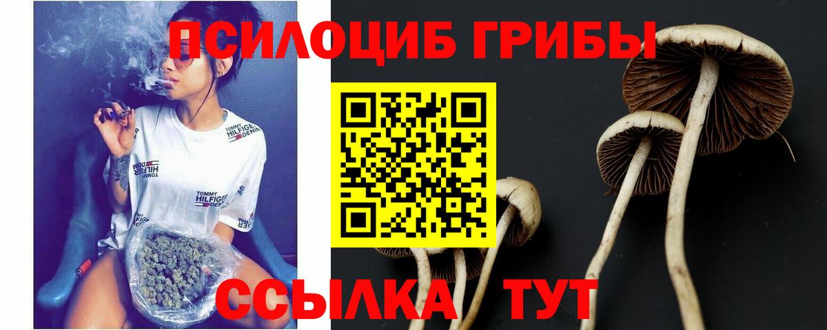 Галлюциногенные грибы мицелий Шатура