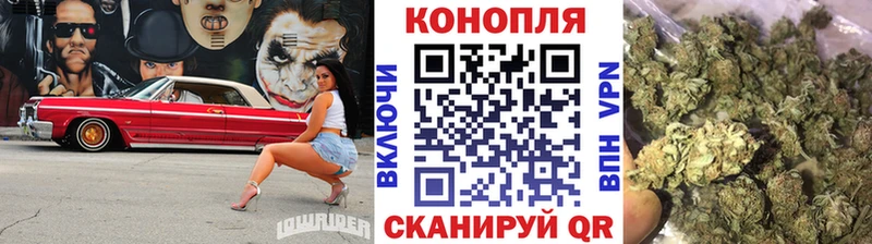 Каннабис план  дарнет шоп  Шатура 